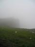 Cliffs of Moher in Fog