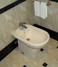 bidet.jpg